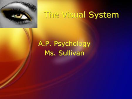 The Visual System A.P. Psychology Ms. Sullivan A.P. Psychology Ms. Sullivan.