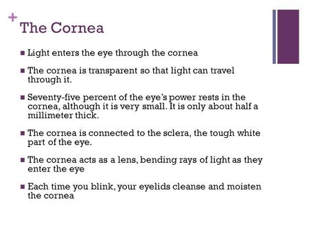 The Cornea Light enters the eye through the cornea