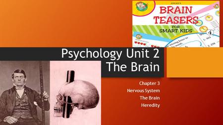 Psychology Unit 2 The Brain Chapter 3 Nervous System The Brain Heredity.