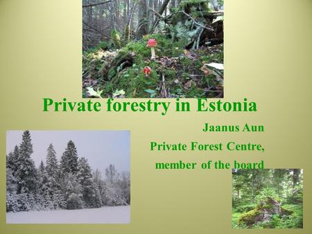 Private forestry in Estonia Jaanus Aun Private Forest Centre, member of the board.