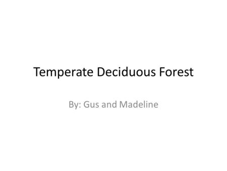 Temperate Deciduous Forest