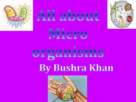 All about Micro organisms