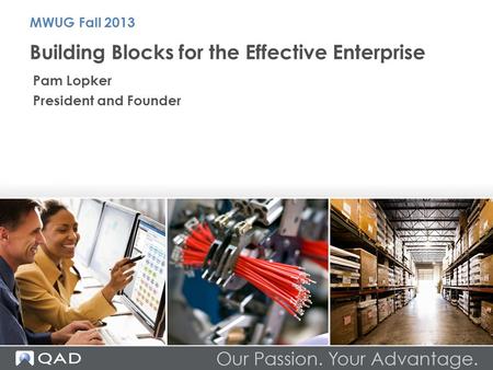Building Blocks for the Effective Enterprise MWUG Fall 2013 Pam Lopker President and Founder.