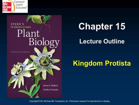 Chapter 15 Kingdom Protista Lecture Outline
