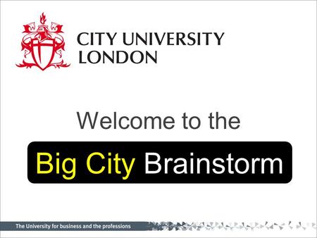 Welcome to the Big City Brainstorm. Julius Weinberg Acting Vice-Chancellor and President, City University London.