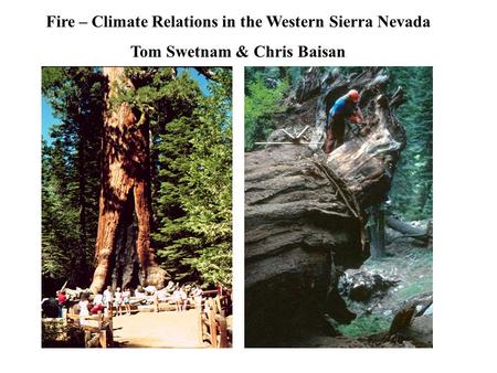 Fire – Climate Relations in the Western Sierra Nevada Tom Swetnam & Chris Baisan.