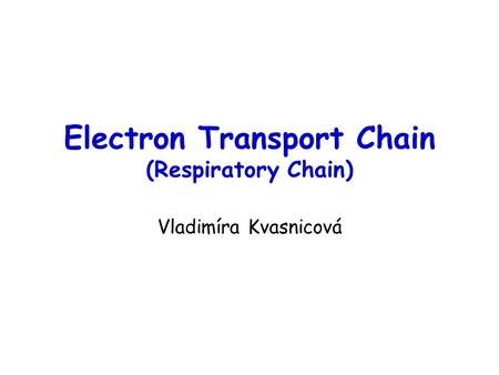 Electron Transport Chain (Respiratory Chain) Vladimíra Kvasnicová.