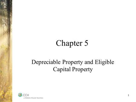 Depreciable Property and Eligible Capital Property