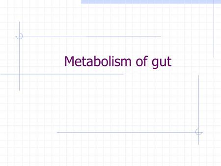 Metabolism of gut. Function of the small intestine Absorption (monosaccharides, fat, aminoacids, vitamines, water, metals and trace elements) Defence.