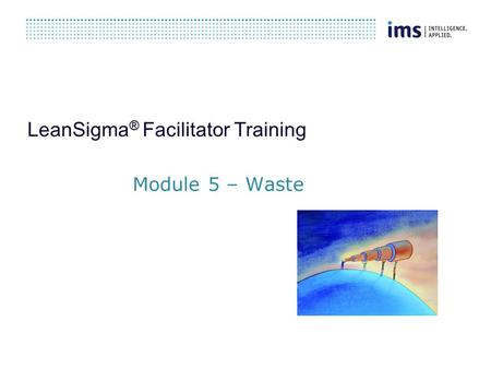 LeanSigma ® Facilitator Training Module 5 – Waste.