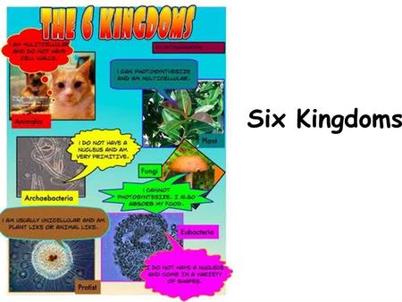 Six Kingdoms. Key terms Autotrophic – Producer -makes its own food Heterotrophic – Consumer -can’t make its own food – consumes other organisms Unicellular.