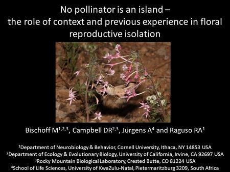 No pollinator is an island – the role of context and previous experience in floral reproductive isolation Bischoff M 1,2,3, Campbell DR 2,3, Jϋrgens A.