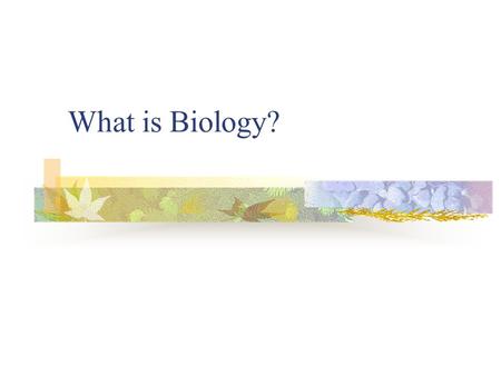 What is Biology?. Biology is the Study of Life Biologist study the interactions of life. Entomologist Anthropologist Ornithologist Etc…