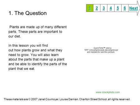 1. The Question Next Plants are made up of many different