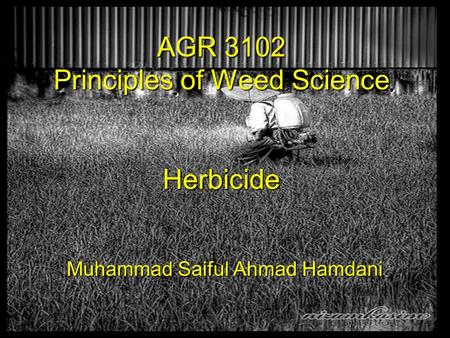 AGR 3102 Principles of Weed Science Herbicide Muhammad Saiful Ahmad Hamdani.