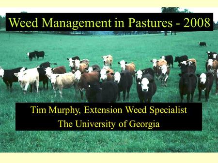 Weed Management in Pastures - 2008 Tim Murphy, Extension Weed Specialist The University of Georgia.