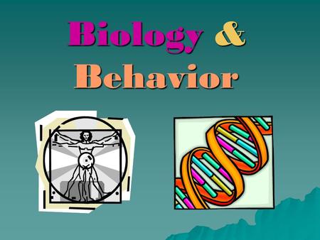 Biology & Behavior. The NERVOUS SYSTEM  What is its function? –Involved in thinking –Involved in dreaming –Involved in feeling –Involved in moving –Involved.