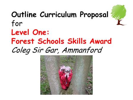 Outline Curriculum Proposal for Level One: Forest Schools Skills Award Coleg Sir Gar, Ammanford.