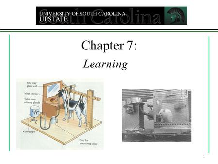 Chapter 7: Learning 1 What is learning? A relatively permanent change in behavior due to experience First test - purpose? To assess learning First test.