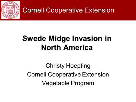 Swede Midge Invasion in North America Christy Hoepting Cornell Cooperative Extension Vegetable Program Cornell Cooperative Extension.