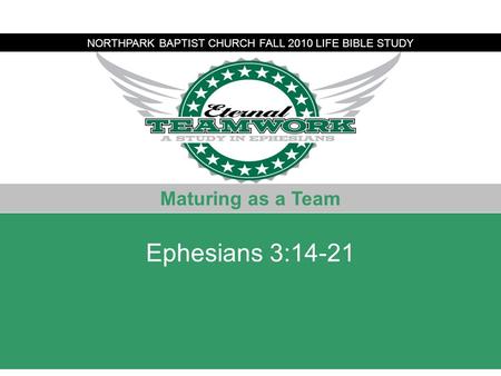 Alleged Bomber NORTHPARK BAPTIST CHURCH FALL 2010 LIFE BIBLE STUDY Maturing as a Team Ephesians 3:14-21.