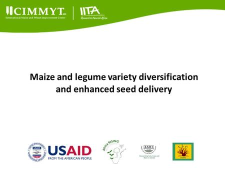 Maize and legume variety diversification and enhanced seed delivery