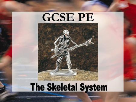GCSE PE The Skeletal System.