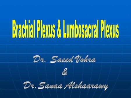 Brachial Plexus & Lumbosacral Plexus