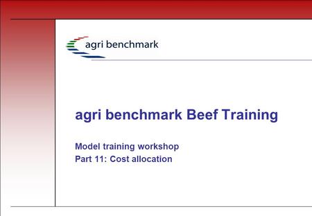 Agri benchmark Beef Training Model training workshop Part 11: Cost allocation.