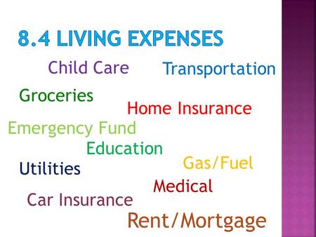 Transportation Groceries Gas/Fuel Home Insurance Car Insurance Education Rent/Mortgage Utilities Child Care Medical Emergency Fund.