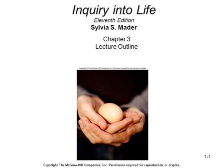 1-1 Inquiry into Life Eleventh Edition Sylvia S. Mader Chapter 3 Lecture Outline Copyright The McGraw-Hill Companies, Inc. Permission required for reproduction.