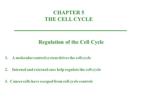 CHAPTER 5 THE CELL CYCLE Regulation of the Cell Cycle 1.A molecular control system drives the cell cycle 2.Internal and external cues help regulate the.