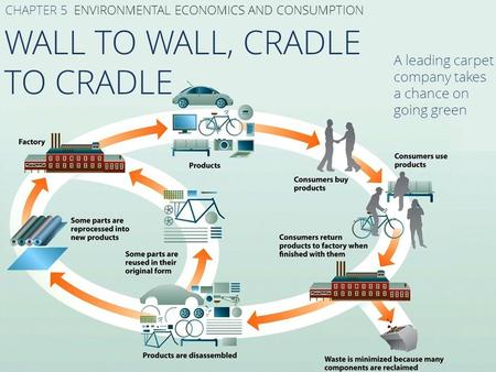 WALL TO WALL, CRADLE TO CRADLE