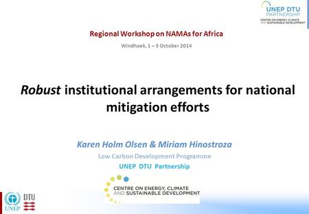 Robust institutional arrangements for national mitigation efforts Karen Holm Olsen & Miriam Hinostroza Low Carbon Development Programme UNEP DTU Partnership.