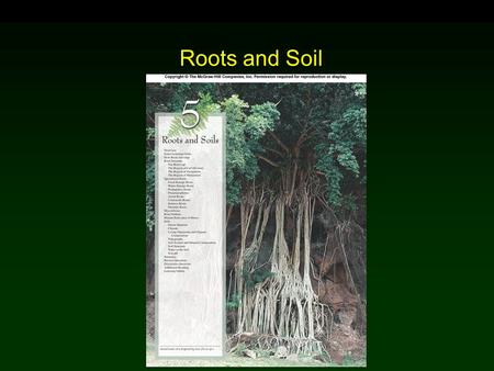 Roots and Soil Chapter 5.