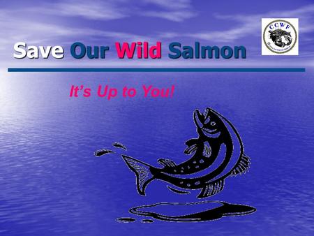 Save Our Wild Salmon It’s Up to You!. Save Our Wild Salmon It’s Up to You! Goals: Wild vs. Farmed? Eat Wild - It’s Good For You! Survival of Wild? What.
