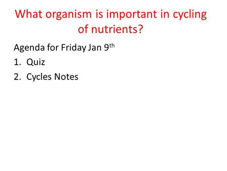 What organism is important in cycling of nutrients? Agenda for Friday Jan 9 th 1.Quiz 2.Cycles Notes.