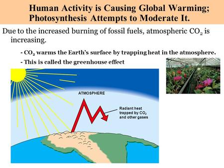 Copyright © 2003 Pearson Education, Inc. publishing as Benjamin Cummings Due to the increased burning of fossil fuels, atmospheric CO 2 is increasing.