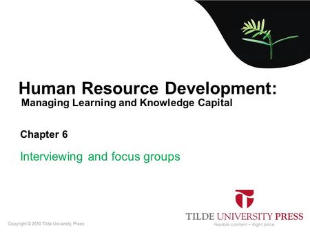 Managing Learning and Knowledge Capital Human Resource Development: Chapter 6 Interviewing and focus groups Copyright © 2010 Tilde University Press.