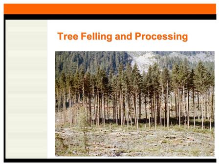 Tree Felling and Processing. Importance of the Felling and Processing Component An Example: For a 50 acre harvest unit in the Oregon Coast Range Clearcut.
