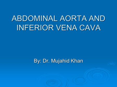 ABDOMINAL AORTA AND INFERIOR VENA CAVA