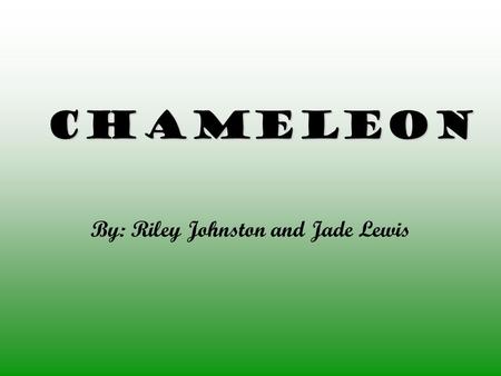 Chameleon By: Riley Johnston and Jade Lewis. Physical Description The body of a Chameleon is short and flat. Chameleons from 3.2-63cm. As many as three.