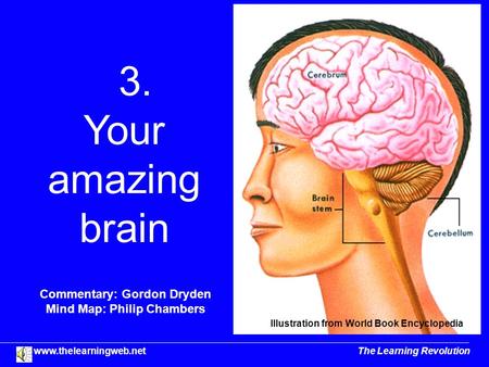 3. Your amazing brain Commentary: Gordon Dryden