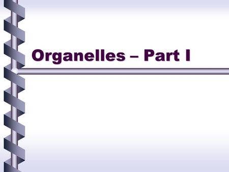 Organelles – Part I. Organelles Organelles are ‘tiny organs.’Organelles are ‘tiny organs.’ –Organs are to humans as organelles are to cells.