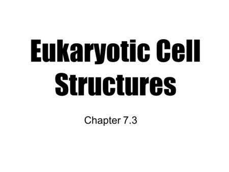 Eukaryotic Cell Structures