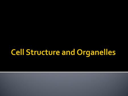 Cell Structure and Organelles