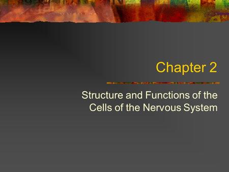 Structure and Functions of the Cells of the Nervous System