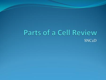 Parts of a Cell Review SNC2D.
