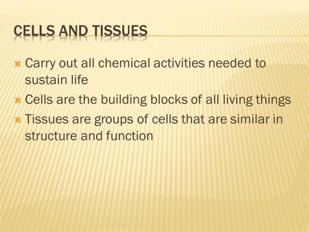 Cells and Tissues Carry out all chemical activities needed to sustain life Cells are the building blocks of all living things Tissues are groups of cells.