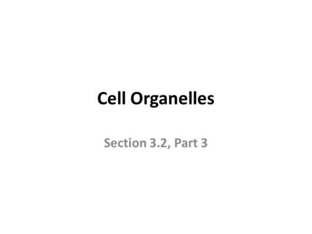 Cell Organelles Section 3.2, Part 3.